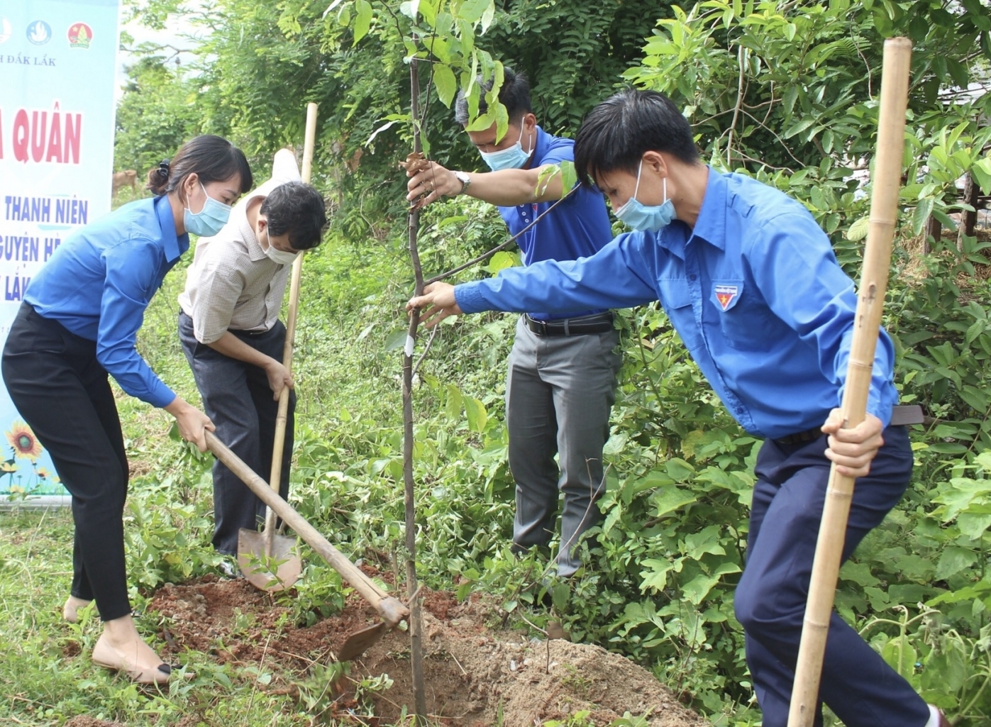 Vì một Việt Nam xanh: Trồng mới 60.000 cây rừng đầu nguồn