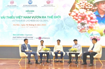 Giải pháp đưa vải thiều Việt Nam vươn ra thế giới