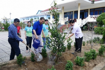 BSR bàn giao và trồng cây xanh tại Trà Bồng