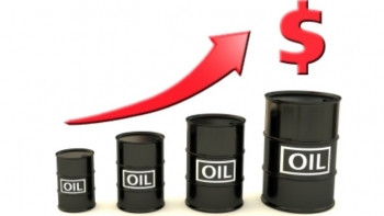Giá dầu thế giới tăng trở lại trước tin đồn cắt giảm sản lượng của OPEC+