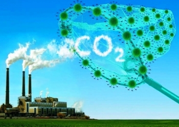 Australia hỗ trợ 6 dự án phát triển thị trường carbon tại Việt Nam