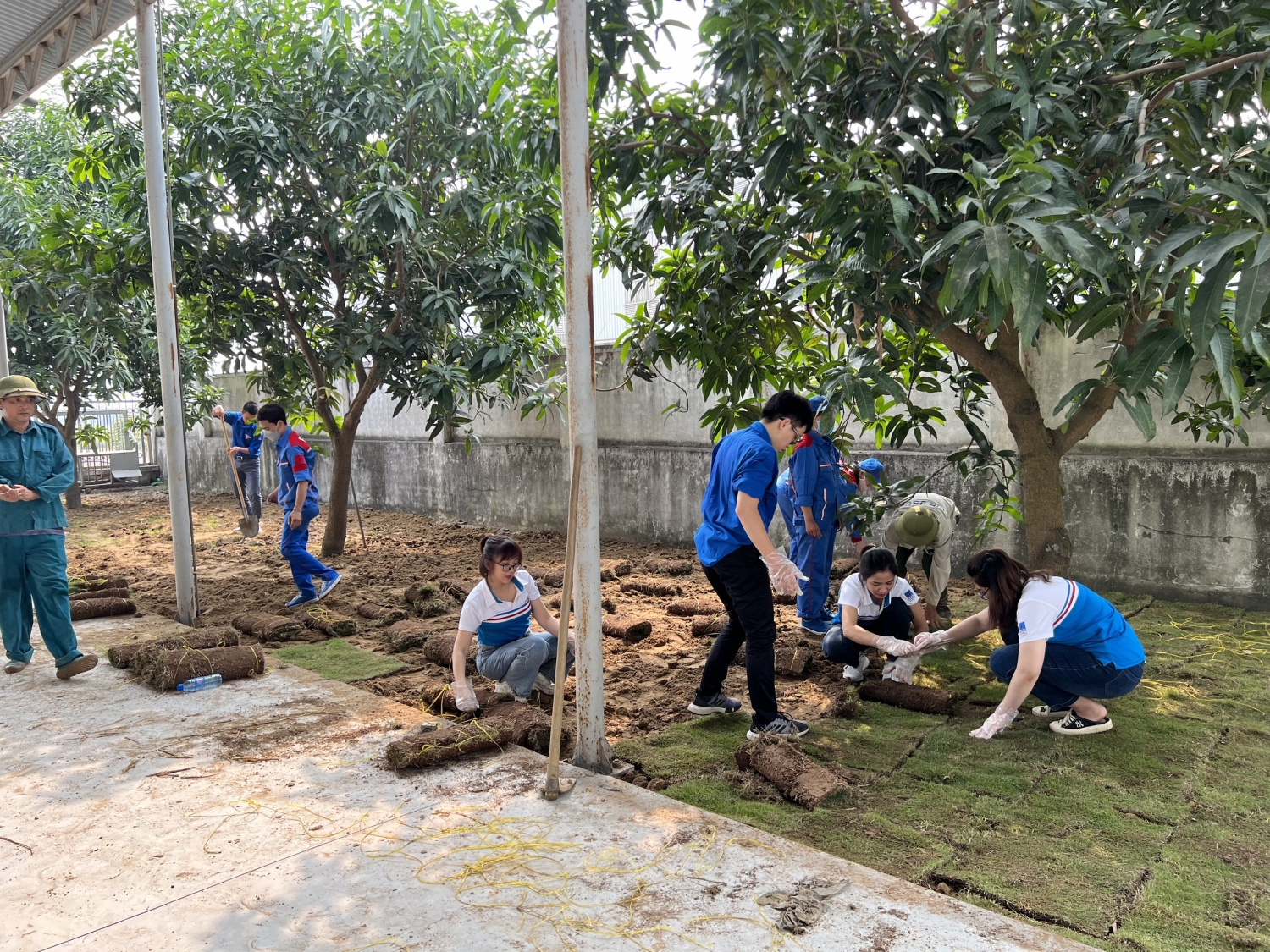 Đoàn Thanh niên PVOIL tổ chức chương trình “Ngày thứ bảy xanh”