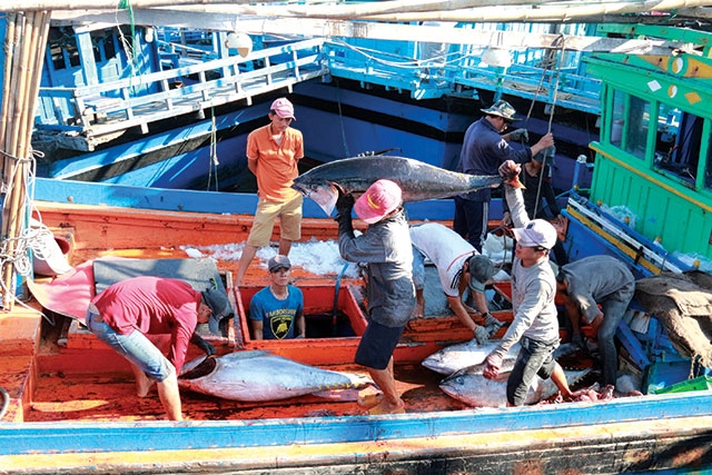 Gỡ cảnh báo "Thẻ vàng" vì mục tiêu phát triển ngành thủy sản Việt Nam