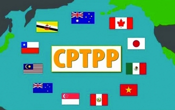 Doanh nghiệp khai thác có hiệu quả Hiệp định CPTPP sau 3 năm thực thi