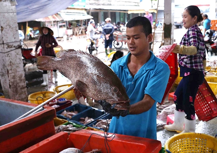 Tỉnh Kiên Giang huy động nguồn lực phát triển kinh tế biển, phấn đấu sớm trở thành trung tâm kinh tế biển quốc gia