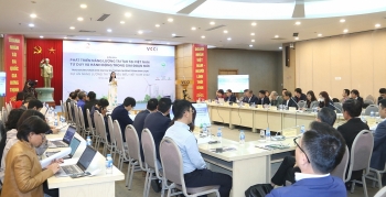 Phát triển năng lượng tái tạo tại Việt Nam: Tập trung hoàn thiện quy hoạch điện quốc gia