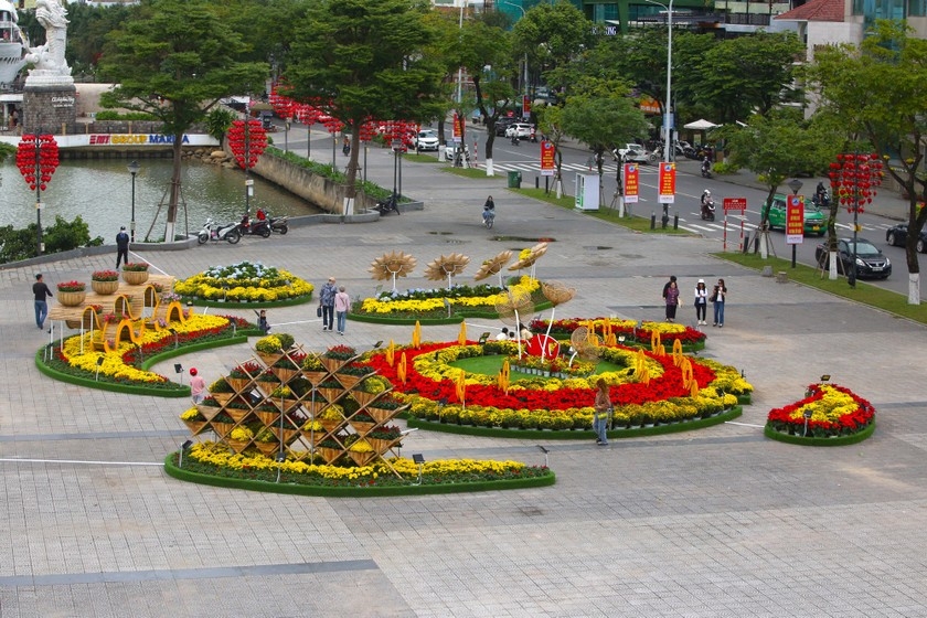 Đà Nẵng: Đường hoa xuân rực rỡ đón Tết Quý Mão