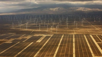 IEA: Năng lượng tái tạo sẽ chiếm 24% tổng nguồn cung của Mỹ năm 2023