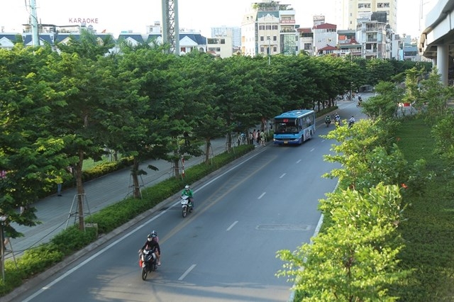 Hà Nội sẽ trồng mới 250.000 cây xanh đô thị
