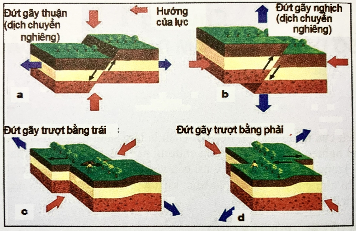 Các yếu tố cấu trúc địa chất - Phần 1