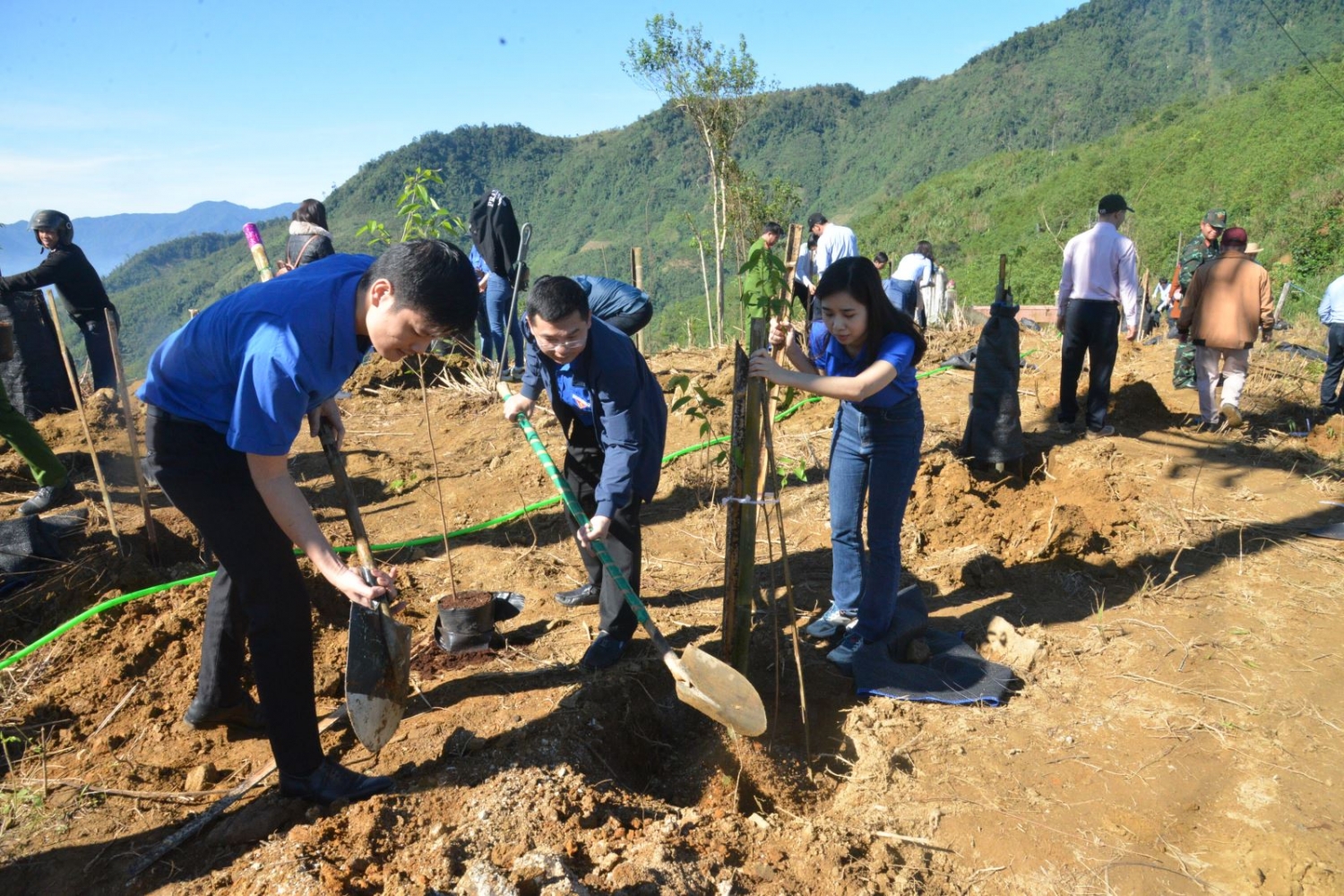 Các đại biểu tham gia trồng cây tại đèo Eo Chim