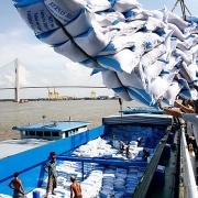 Tin tức kinh tế ngày 6/2: Xuất khẩu gạo giảm mạnh trong tháng đầu năm
