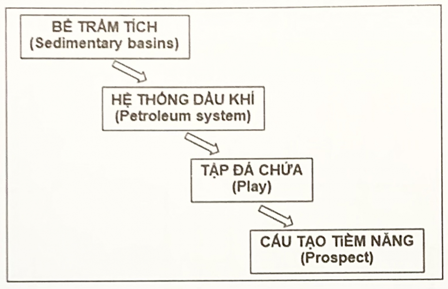 Hệ thống dầu khí - Đá sinh dầu, đá chứa và đá chắn