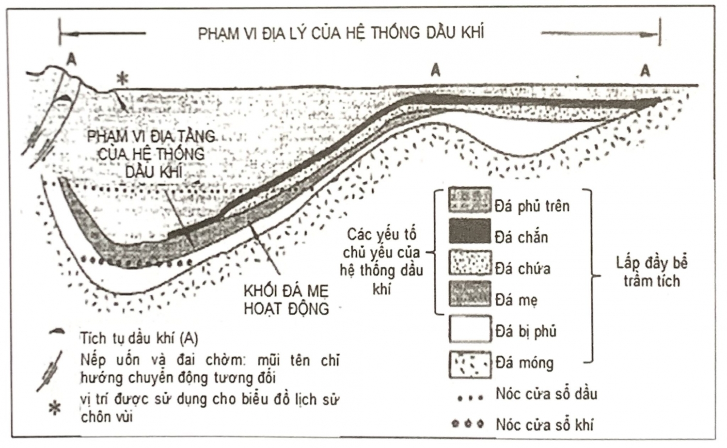 Hệ thống dầu khí - Đá sinh dầu, đá chứa và đá chắn