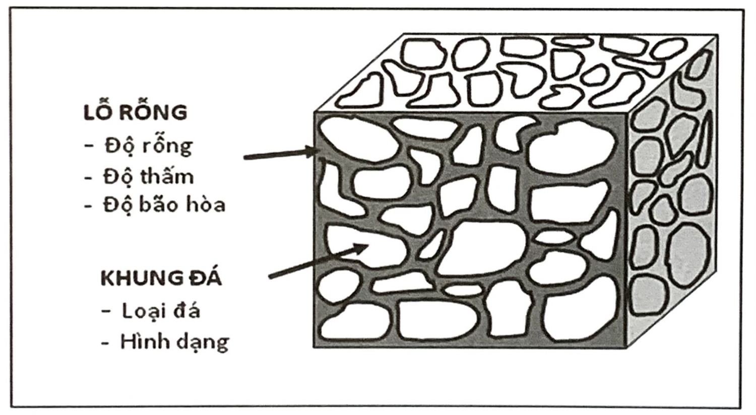 Hệ thống dầu khí - Đá sinh dầu, đá chứa và đá chắn