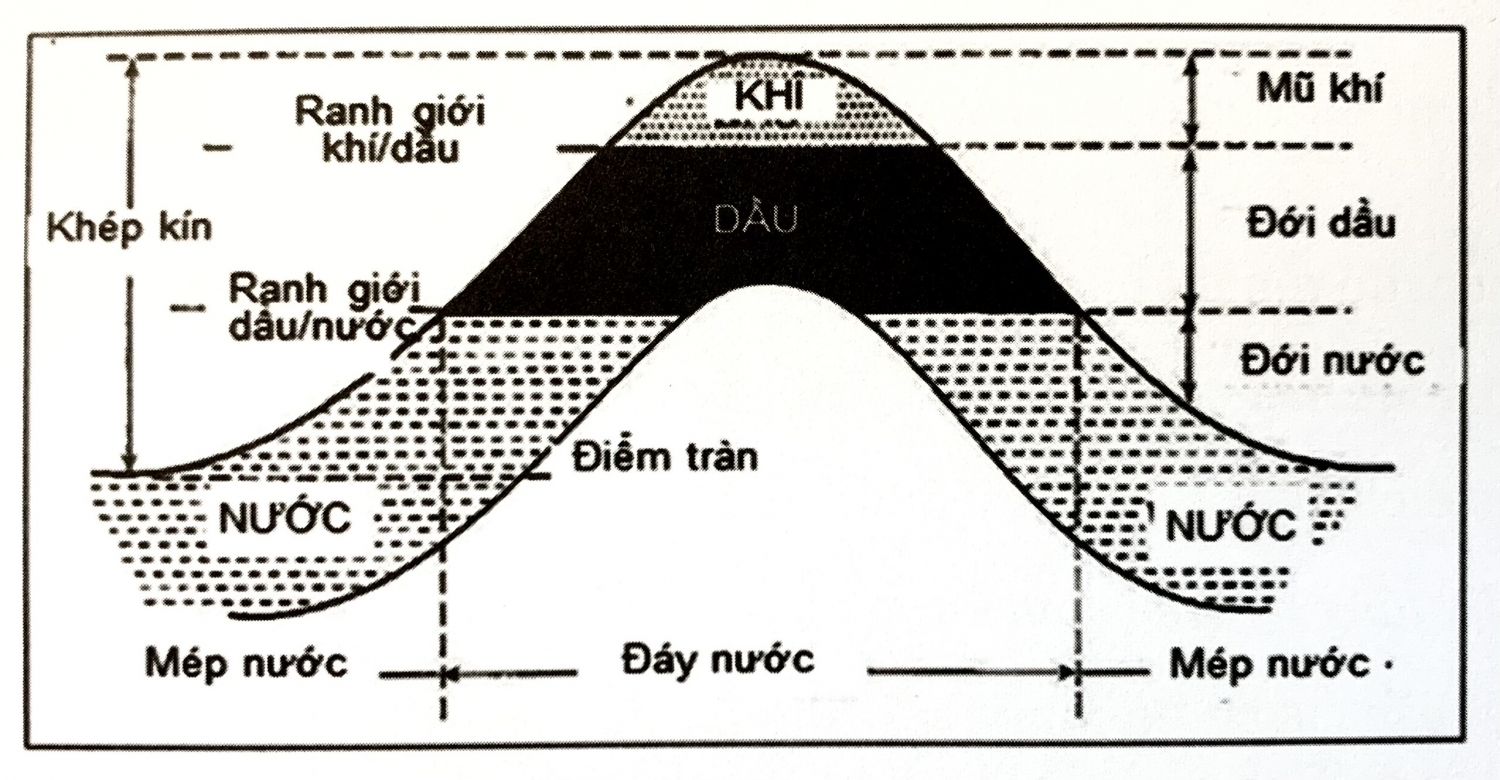 Hệ thống dầu khí - Đá sinh dầu, đá chứa và đá chắn