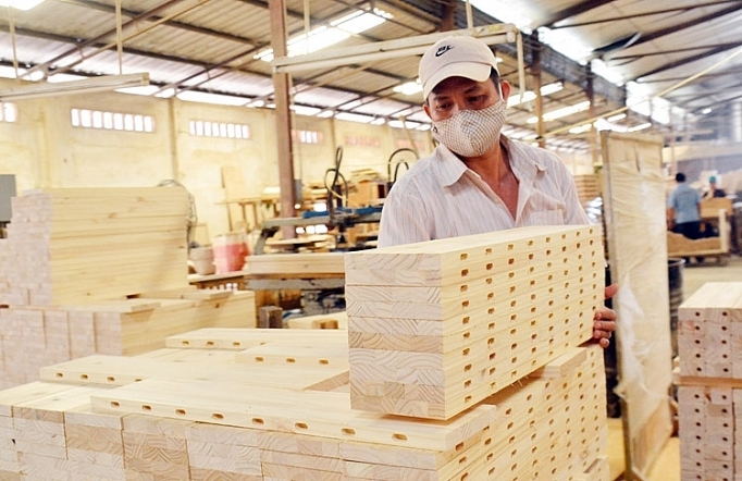 Tin tức kinh tế ngày 25/2: Xuất khẩu gỗ và sản phẩm gỗ giảm mạnh