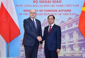 Bộ trưởng Bùi Thanh Sơn hội đàm với Bộ trưởng Ngoại giao Cộng hòa Ba Lan