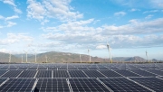EVN làm rõ căn cứ việc dừng huy động phát điện 172MW điện mặt trời của Công ty Trung Nam