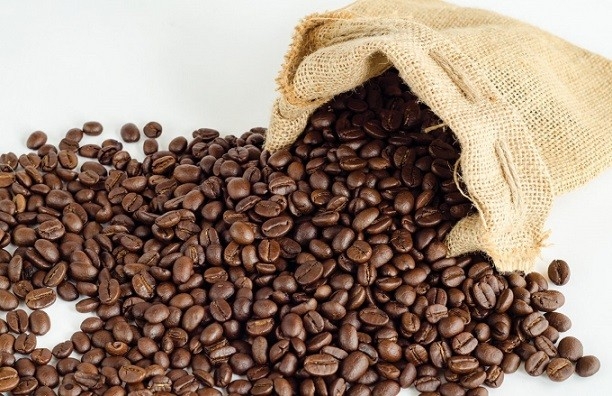 Giá cà phê hôm nay 23/3: Thị trường trong nước tiếp đà tăng