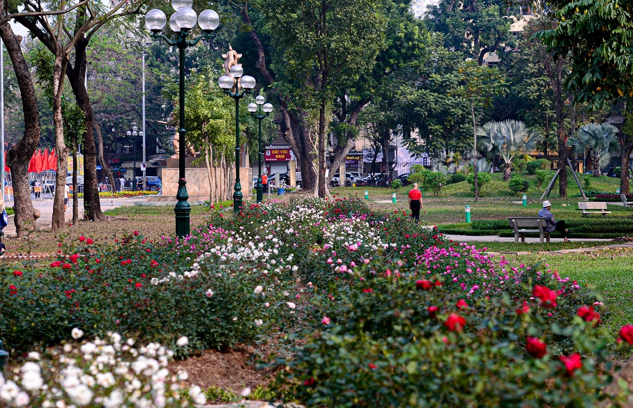 Hà Nội: Tập trung nguồn lực cải tạo, nâng cấp các vườn hoa, công viên