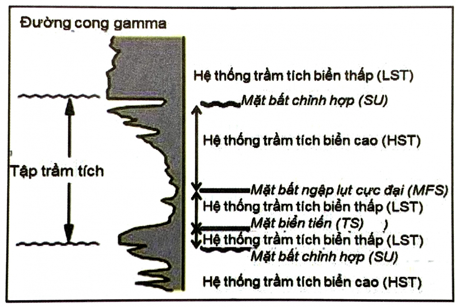 Chính xác hóa các ranh giới