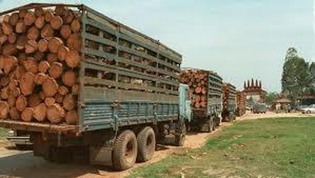 Việt Nam chi tỷ USD nhập lượng lớn gỗ, cao su và hạt điều từ Lào và Campuchia