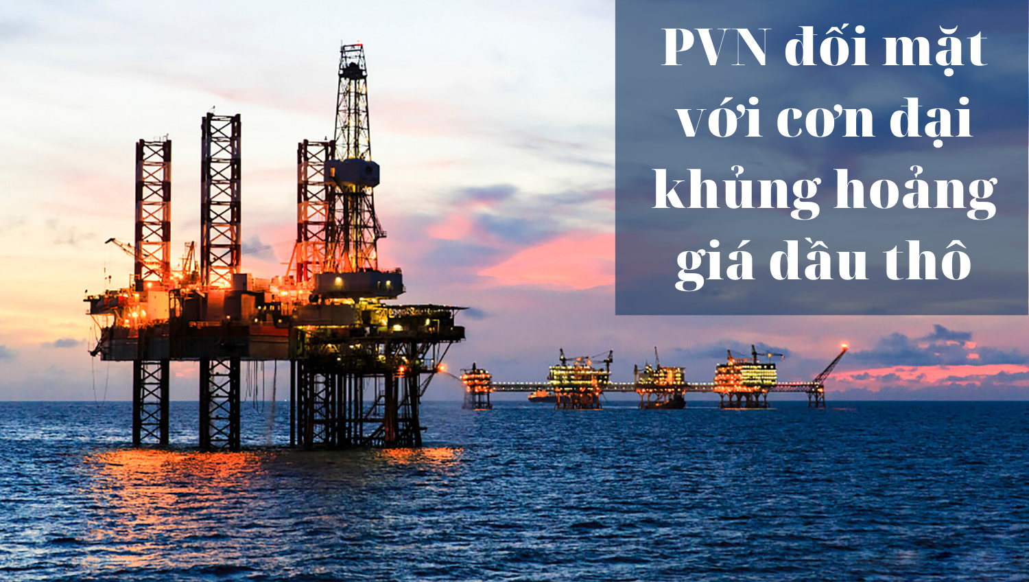 [E-Magazine] PVN đối mặt với cơn đại khủng hoảng giá dầu thô