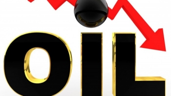 Giá xăng dầu hôm nay 7/12: Giá dầu thô tiếp đà giảm mạnh