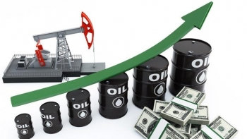 Giá xăng dầu hôm nay 19/12: Giá dầu thô tăng mạnh