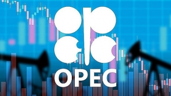 Bộ trưởng Tài chính Mỹ: Việc cắt giảm sản lượng của OPEC+ sẽ gây tổn hại cho kinh tế toàn cầu