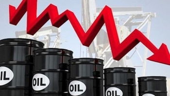 Giá xăng dầu hôm nay 14/8 sụt giảm mạnh