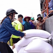 Hỗ trợ gạo cho 2 tỉnh Bình Định, Phú Yên