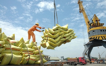Tin tức kinh tế ngày 4/9: Thái Lan và Việt Nam hợp tác tăng giá gạo xuất khẩu