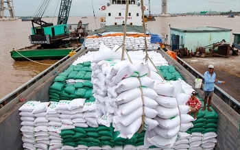 Tin tức kinh tế ngày 26/10: Xuất khẩu gạo tiếp tục tăng về sản lượng và giá trị