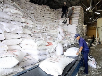 Xuất cấp hơn 4.880 tấn gạo cho 3 tỉnh hỗ trợ người dân gặp khó khăn do dịch Covid-19