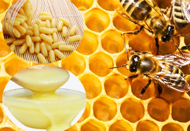 Lợi ích sức khỏe và những lưu ý khi sử dụng sữa ong chúa