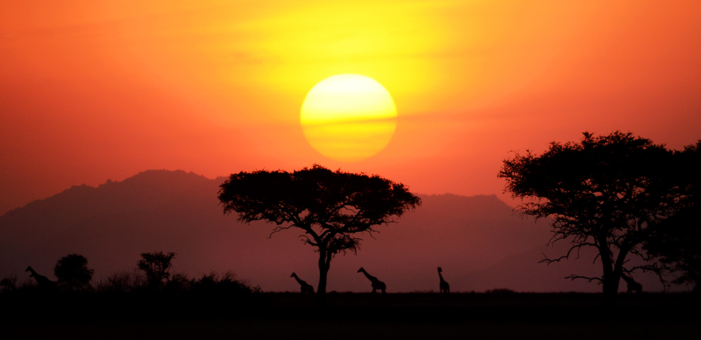 Thám hiểm châu Phi là một cuộc phiêu lưu khám phá vẻ đẹp thiên nhiên hoang dã của đại lục này. Xem những bức ảnh tuyệt đẹp về thiên nhiên và châu Phi để cảm nhận sức mạnh của tự nhiên và tìm hiểu về địa danh hấp dẫn của châu lục này.