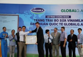 Trang trại bò sữa Vinamilk đạt chuẩn quốc tế Global G.A.P.