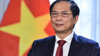 Ngoại giao Việt Nam năm 2022: Phát huy mạnh mẽ bản sắc “Cây tre Việt Nam”