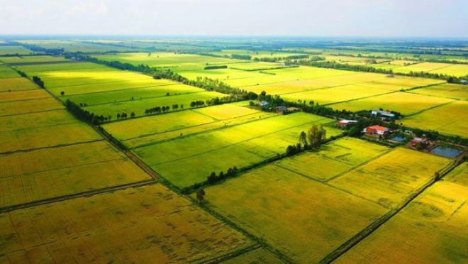 Đề xuất bổ sung quy định người sử dụng đất nông nghiệp được chuyển đổi cơ cấu cây trồng, vật nuôi