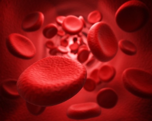 Giới khoa học lần đầu phát hiện nhóm máu hoàn toàn mới