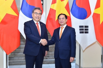 Bộ trưởng Ngoại giao Bùi Thanh Sơn hội đàm với Bộ trưởng Ngoại giao Hàn Quốc Park Jin