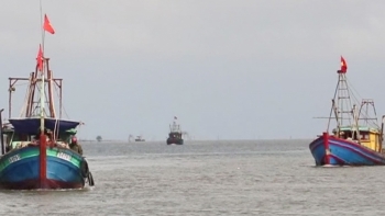 Thái Bình: Đột phá phát triển kinh tế biển