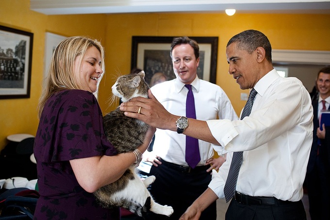 Con mèo quyền lực nhất dinh thủ tướng Anh - 2