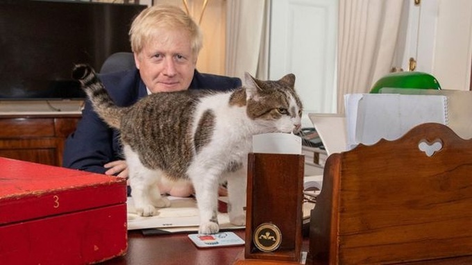 Con mèo quyền lực nhất dinh thủ tướng Anh - 6