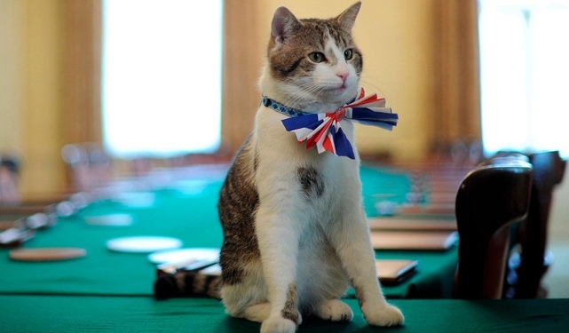 Con mèo quyền lực nhất dinh thủ tướng Anh