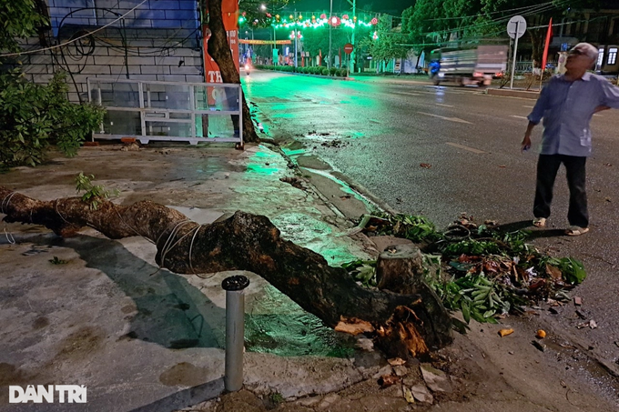 Mưa đá xuất hiện ở Điện Biên, quật gẫy cây, gây ngập úng - 11
