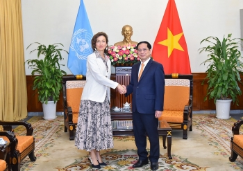 Bộ trưởng Bộ Ngoại giao Bùi Thanh Sơn tiếp Tổng Giám đốc UNESCO
