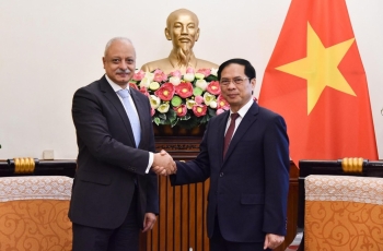 Thúc đẩy hơn nữa quan hệ hợp tác nhiều mặt Việt Nam - Ai Cập